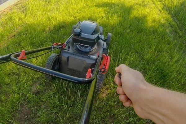 How Often to Mow a Lawn Hialeah FL