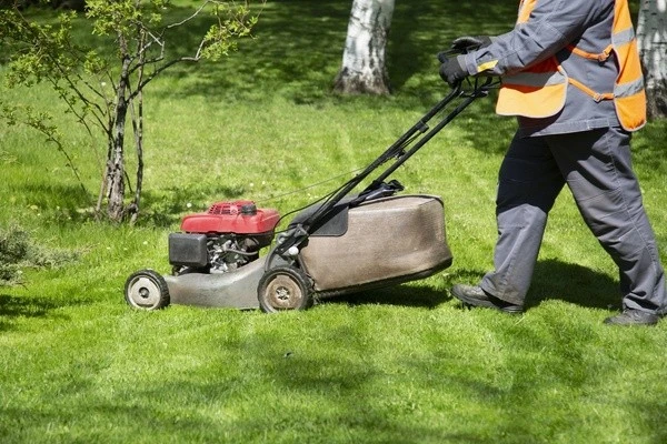 How to Mow a Lawn Hialeah FL