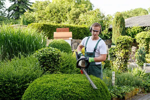 What Is Landscape Maintenance Hialeah FL