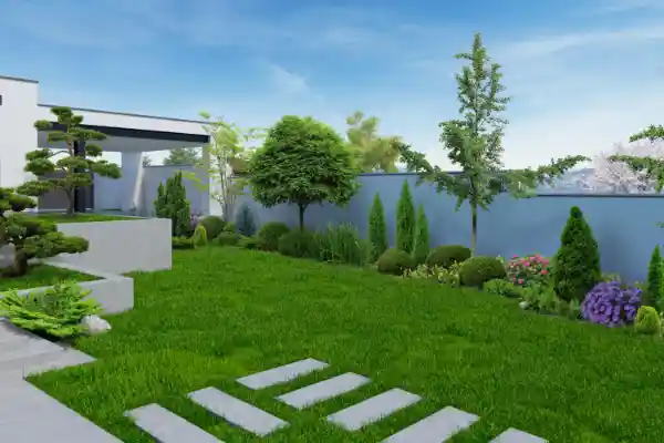 Backyard Landscaping 